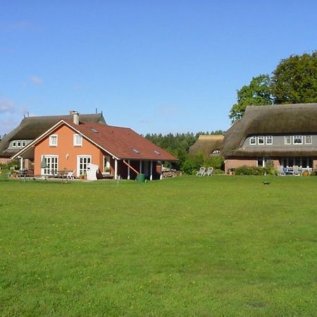 Ferienwohnung Nr 07 Og Spitzboden Born Zewnętrze zdjęcie
